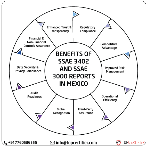 SSAE & SSAE 3000 Report in mexico